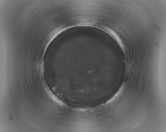 X0000111801340200908201145