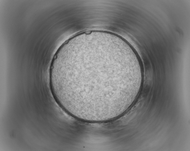 X0000111801341200908201145