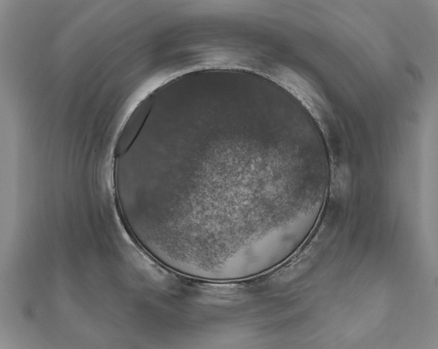 X0000111801342200908201145