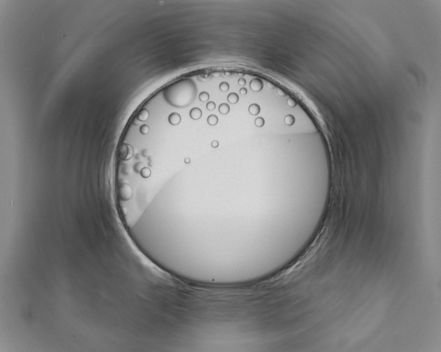 X0000111801343200908201145