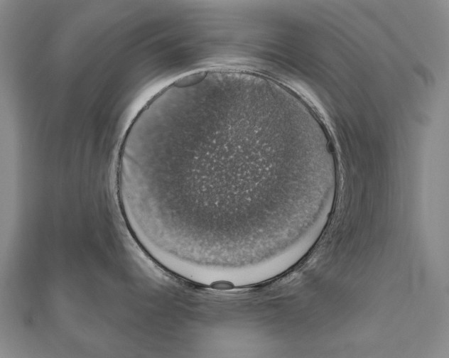 X0000111801344200908201145