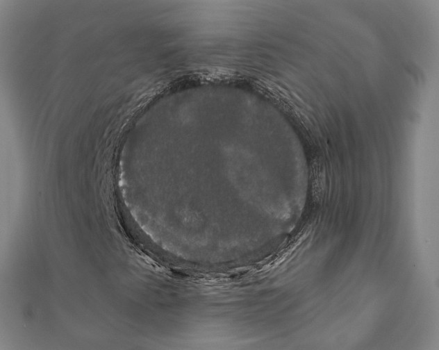 X0000111801345200908201144