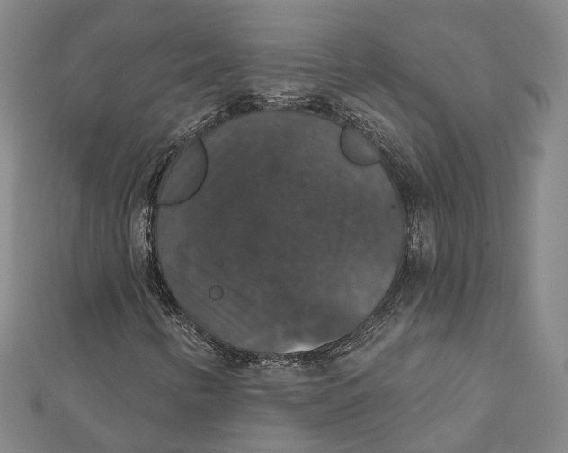 X0000111801346200908201144