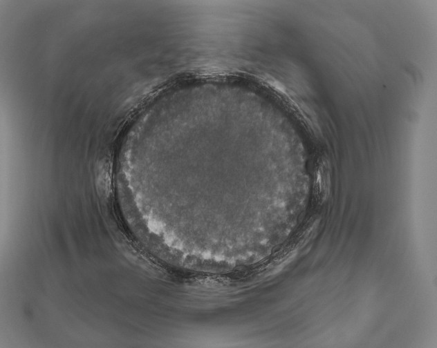 X0000111801348200908201144