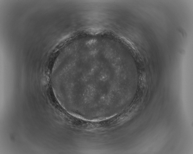 X0000111801349200908201144