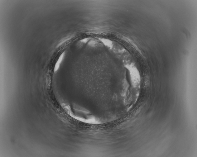 X0000111801350200908201144