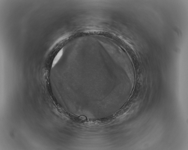 X0000111801351200908201144