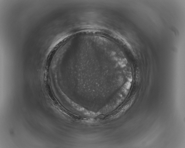 X0000111801352200908201144