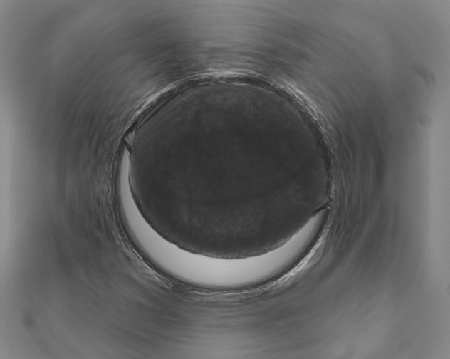 X0000111801353200908201144