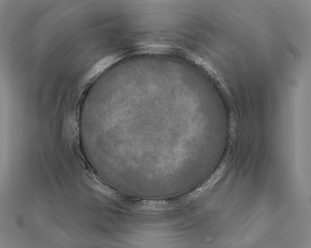 X0000111801354200908201144