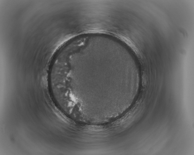 X0000111801356200908201144