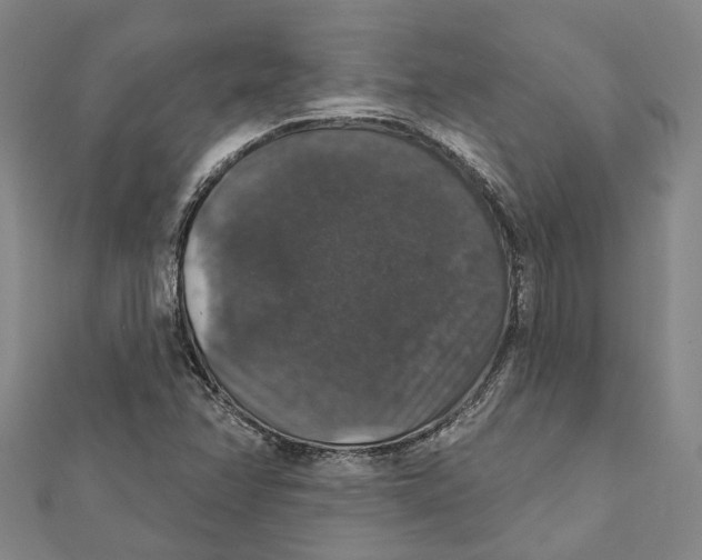 X0000111801358200908201144