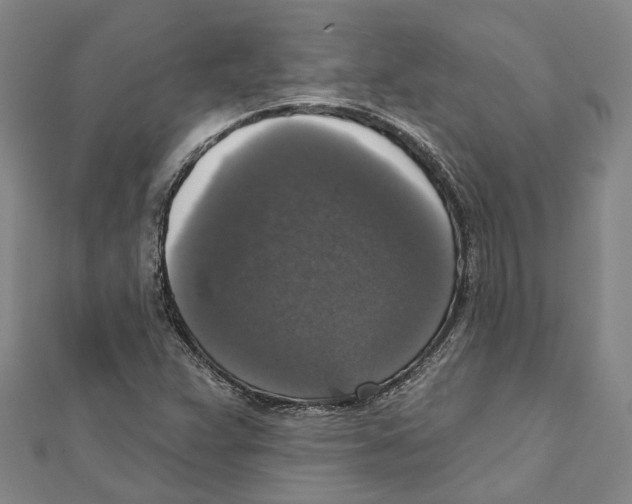 X0000111801359200908201144