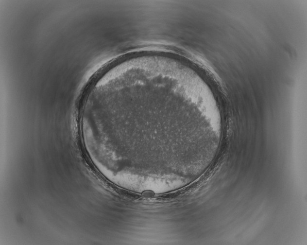X0000111801360200908201144