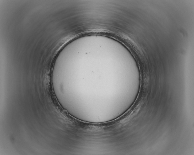 X0000111801361200908201144