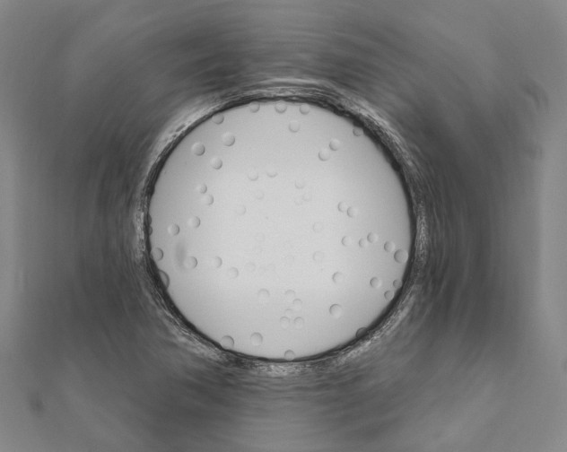 X0000111801362200908201144