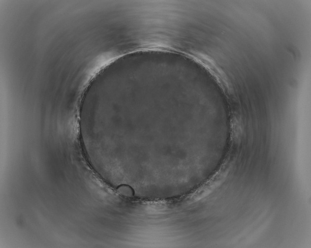 X0000111801363200908201144