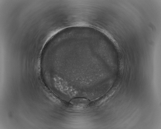 X0000111801364200908201144