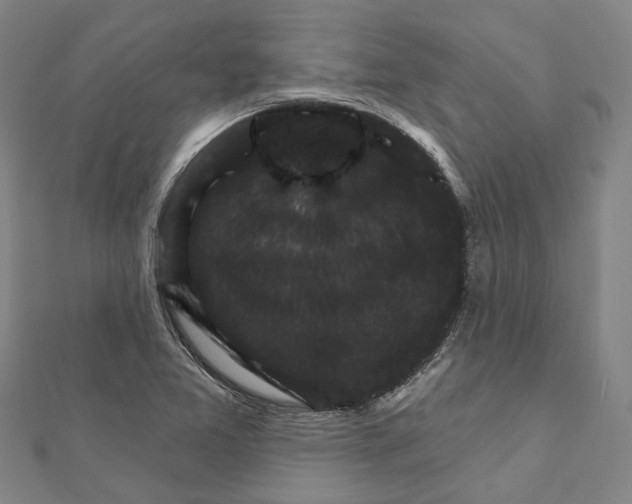 X0000111801365200908201144