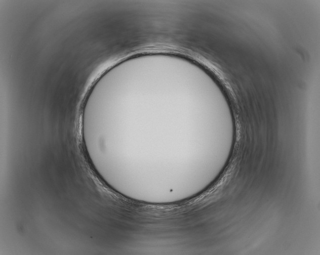 X0000111801366200908201144