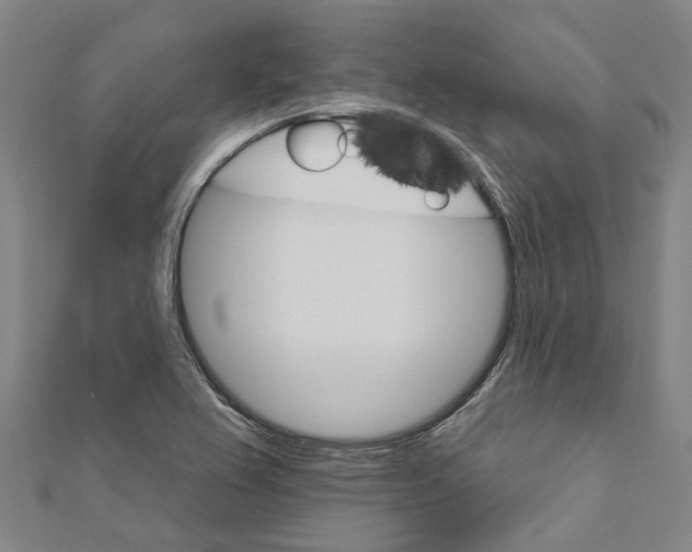X0000111801367200908201144