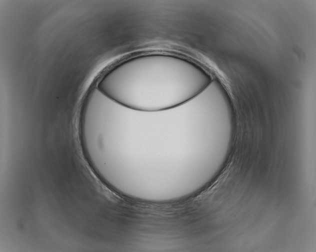 X0000111801368200908201144