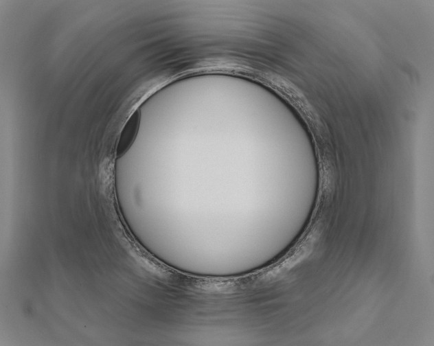 X0000111801369200908201144