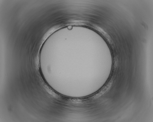 X0000111801370200908201144