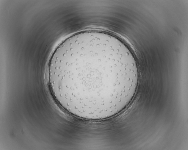X0000111801371200908201144