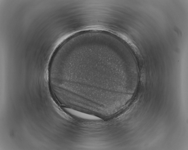X0000111801372200908201144