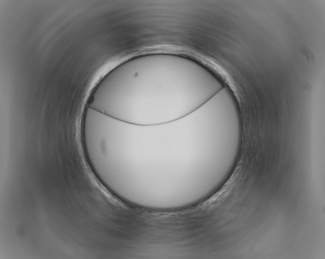 X0000111801373200908201144