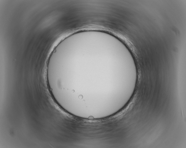 X0000111801374200908201144