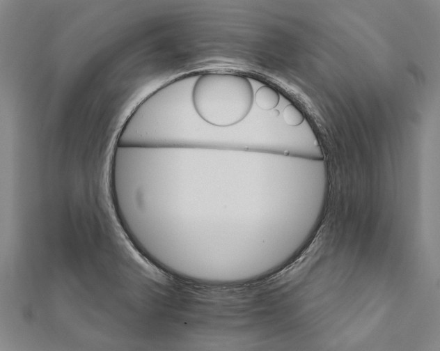 X0000111801375200908201144