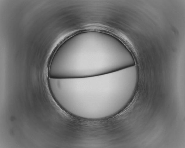 X0000111801376200908201144