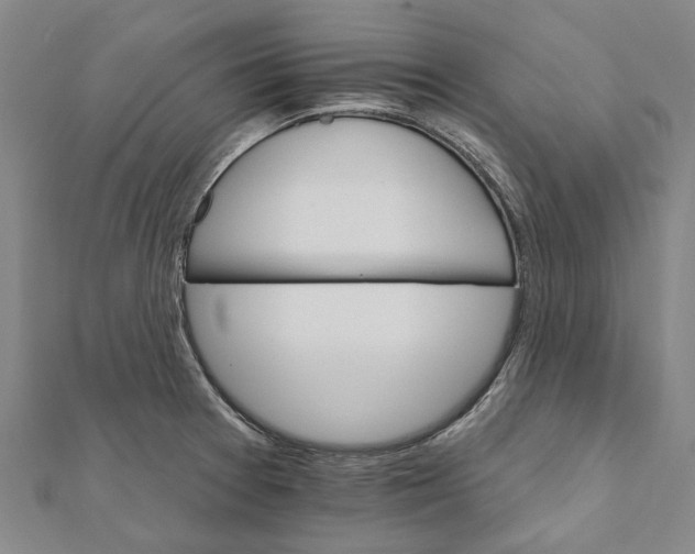 X0000111801377200908201144
