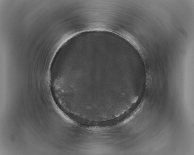 X0000111801380200908201143