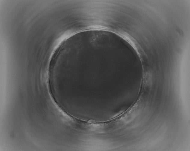 X0000111801381200908201143