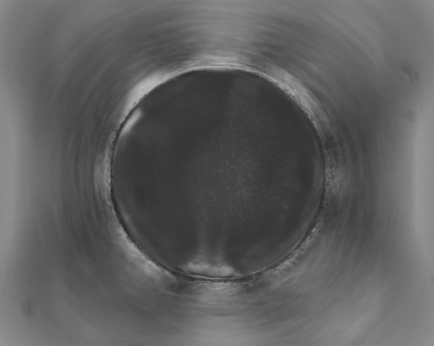 X0000111801382200908201143