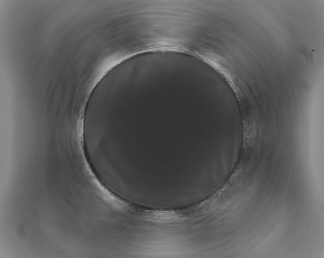 X0000111801383200908201143