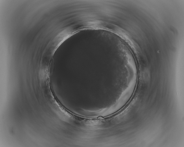 X0000111801385200908201143