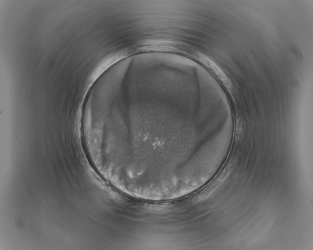 X0000111801386200908201143