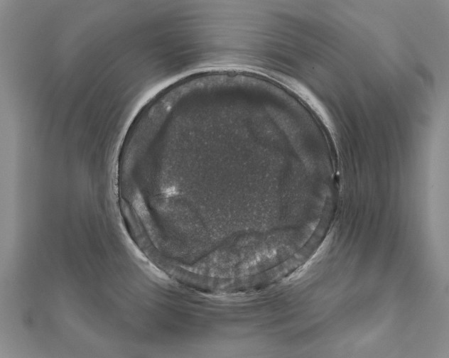 X0000111801388200908201143