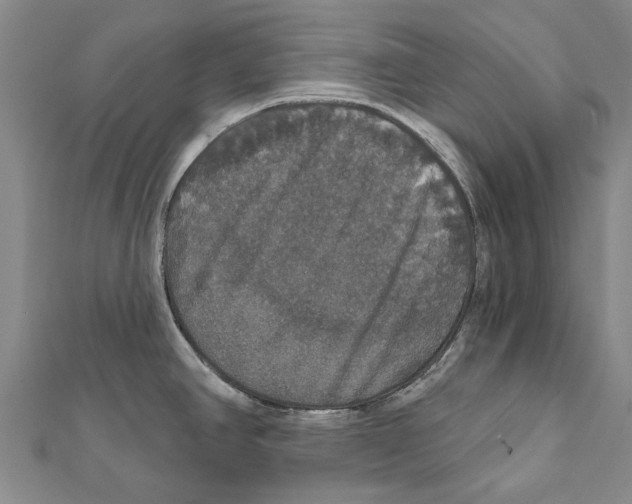 X0000111801390200908201143