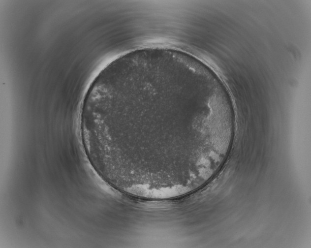 X0000111801392200908201143