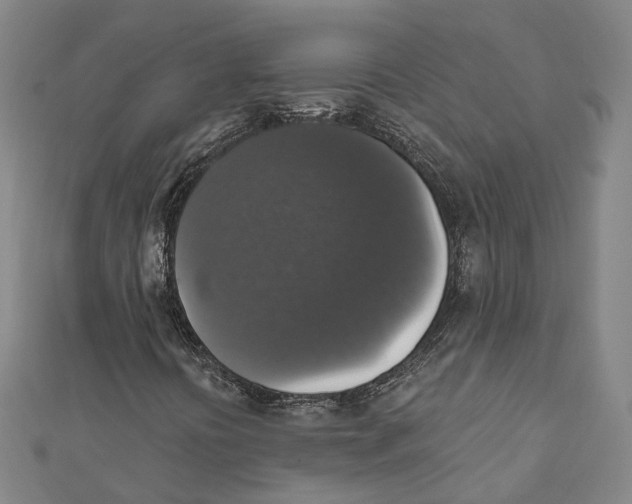 X0000111801394200908201143
