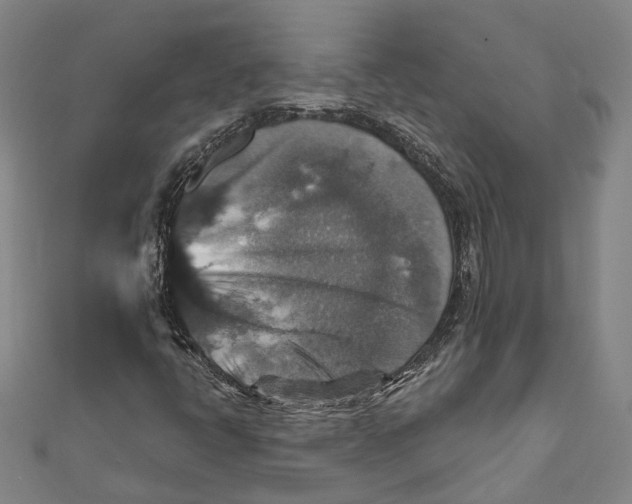 X0000111801398200908201143