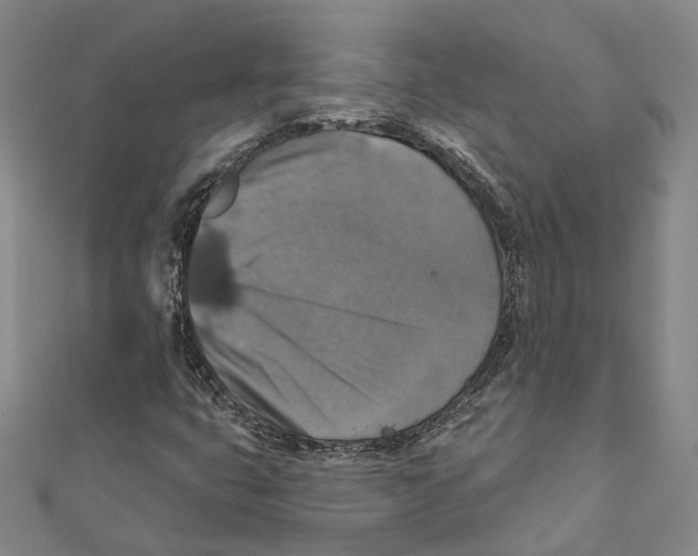 X0000111801399200908201143