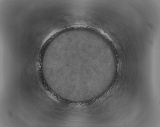 X0000111801400200908201143