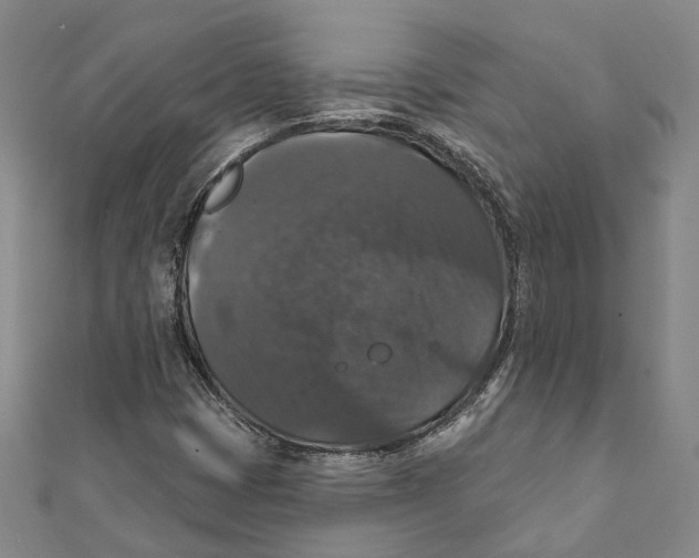 X0000111801401200908201143