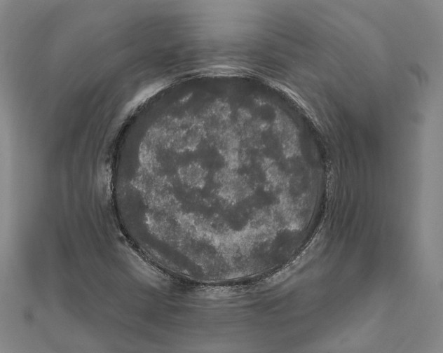 X0000111801402200908201143